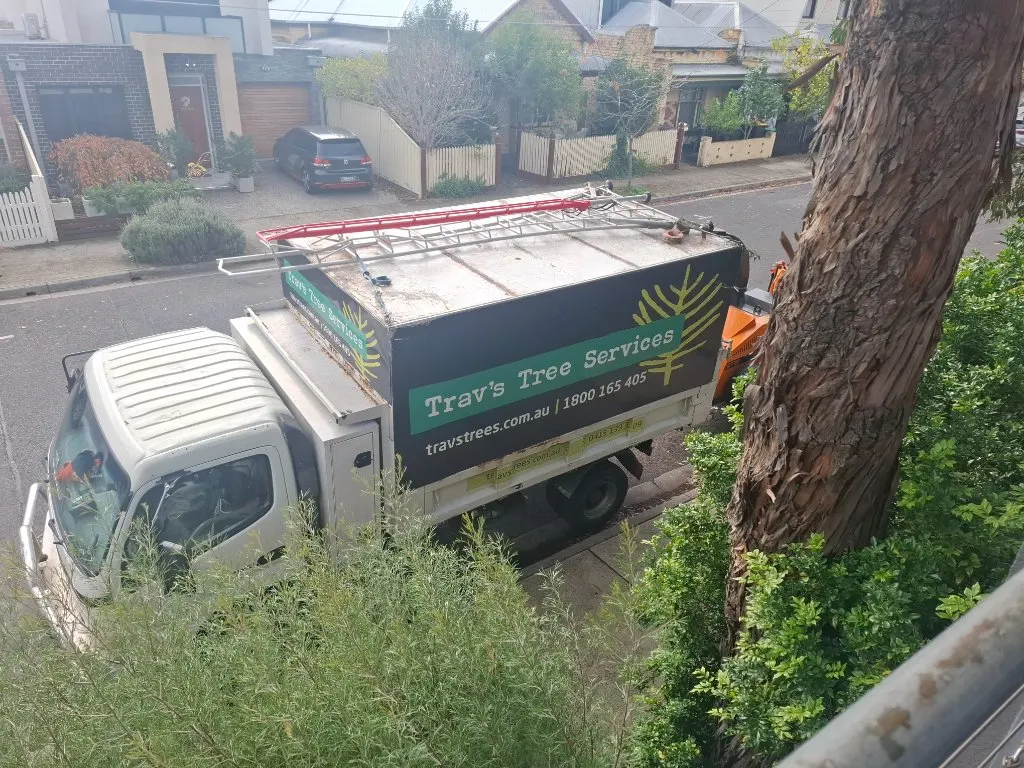 Trav's Tree Services truck